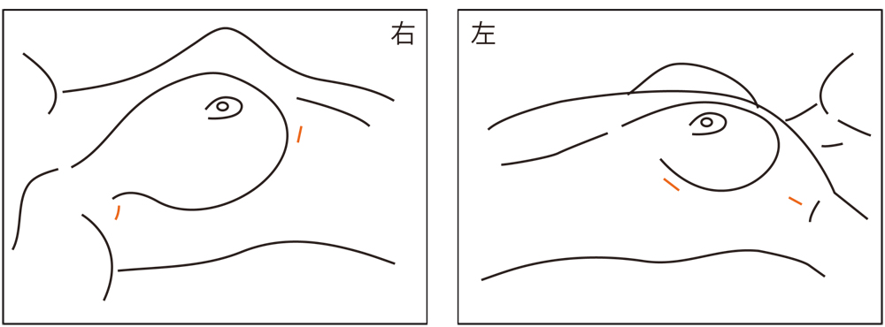 体に 良い汗 困った汗 の見分け方 Nikkei Style